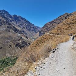 Gerade Stücke nur am Anfang