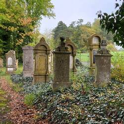 Der jüdische Friedhof bei Eubigheim.