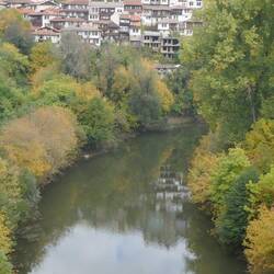 NZ photographer's depiction