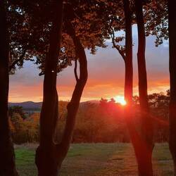 Und ein wunderbares Abendlicht