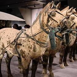 These were all built 1/2-size.