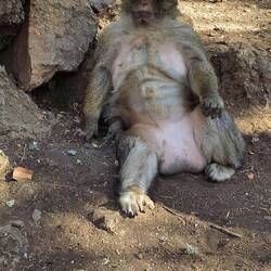 Oh sjit, I ate too much😁