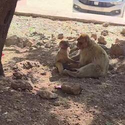 Look at that incredible kiss😍