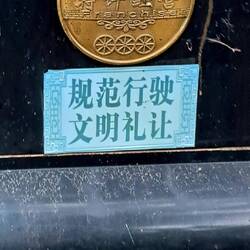 The license plates on the rear of each rickshaw were interesting.