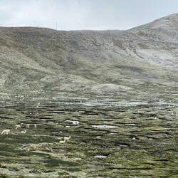 It's hailing/snowing and the landscape is turning white