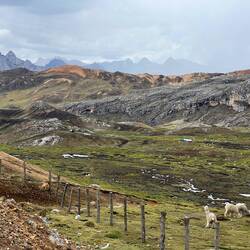 Showers threaten for much of the day