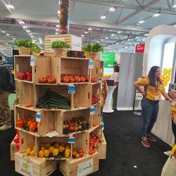 Man konnte viel Gemüse probieren