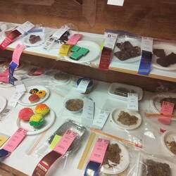 Man kann an vielen Wettbewerben teilnehmen. Von der besten Marmelade bis zur schönsten Mütze