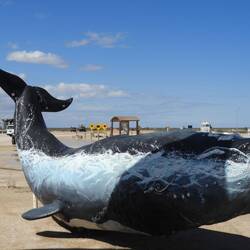 Big whale (Nullarbor Roadhouse)