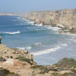 This is the whale nursery