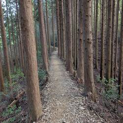 Perfekter Weg (rechts und links gehts runter)