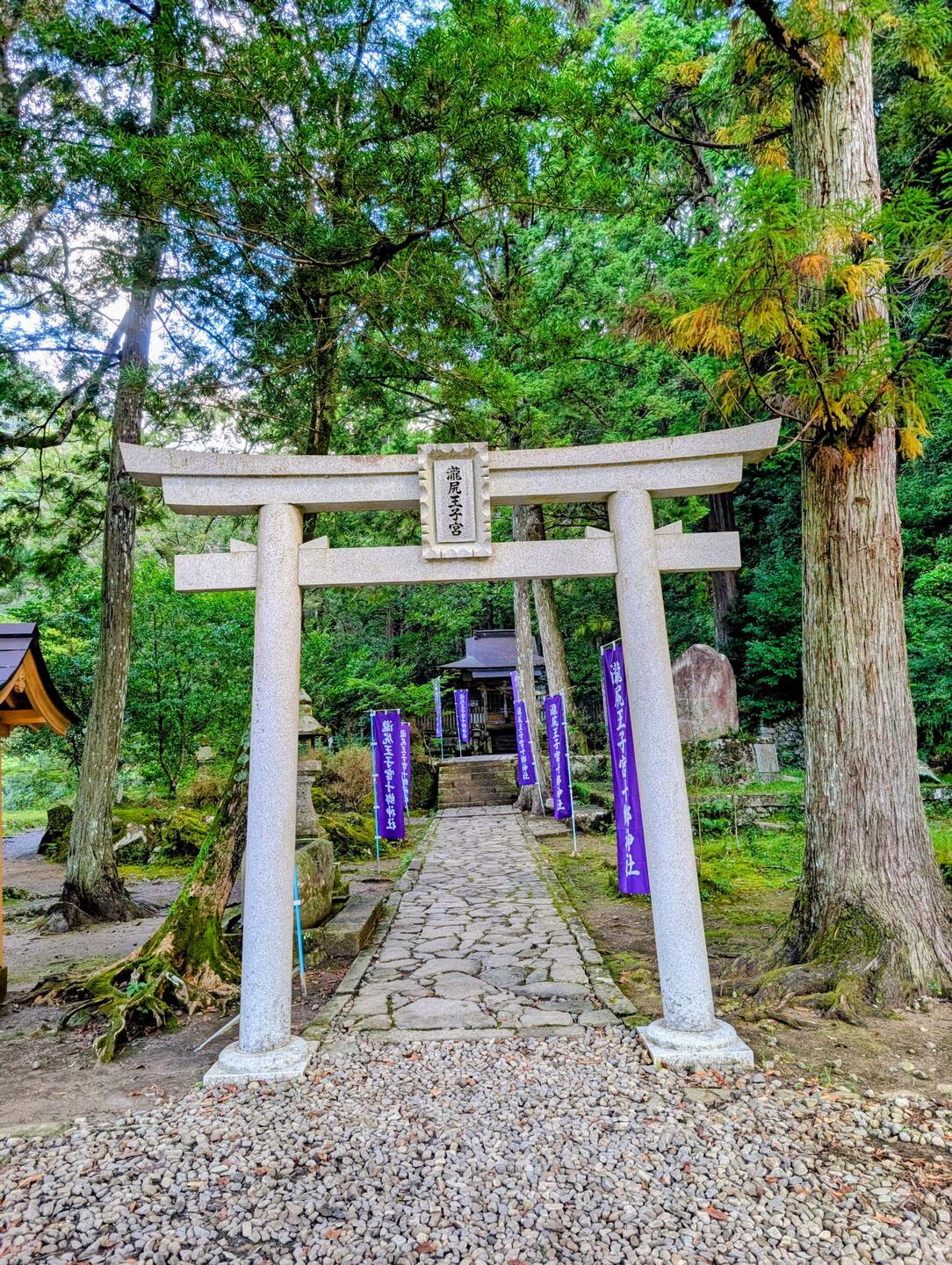 Start des Kumano Kodo (Nakahechi)