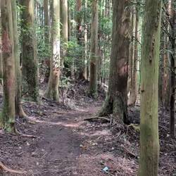 Ein Stück des Weges