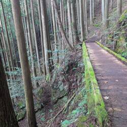 Links gehts steil runter