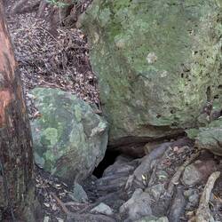 Und da kommt man wieder raus.