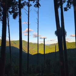 Abendlicht von meinem Zeltplatz