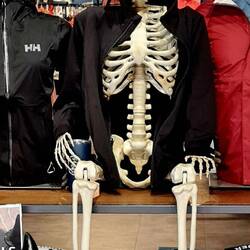 Auch Schaufensterpuppen brauchen Aufmerksamkeit. Armes Schwein🤣🤣