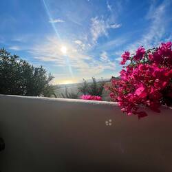 Breakfast view