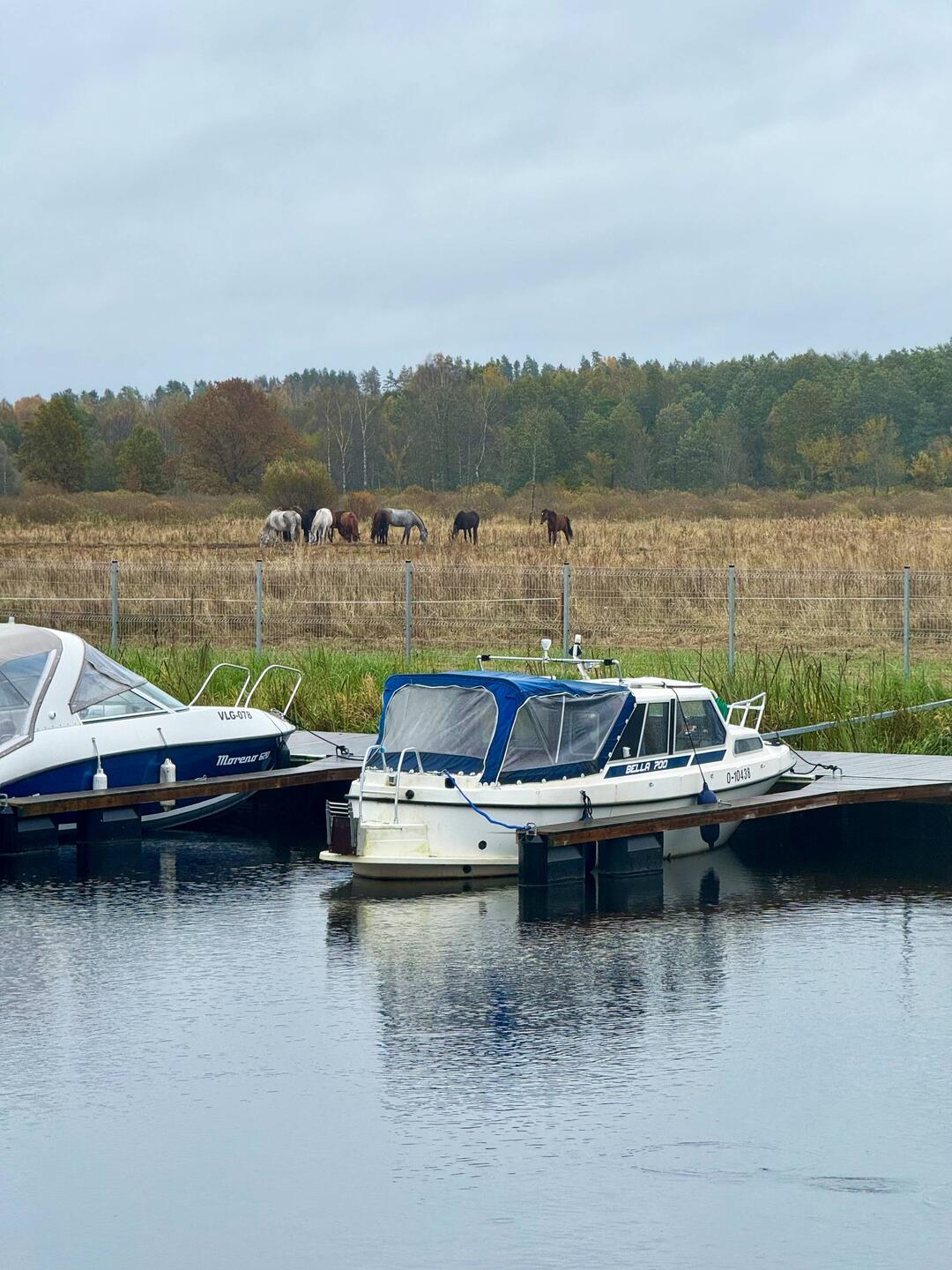 Idylle am Jachthafen