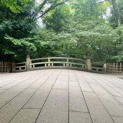 A charming bridge over the stream