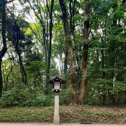 Lanterns decorate the green