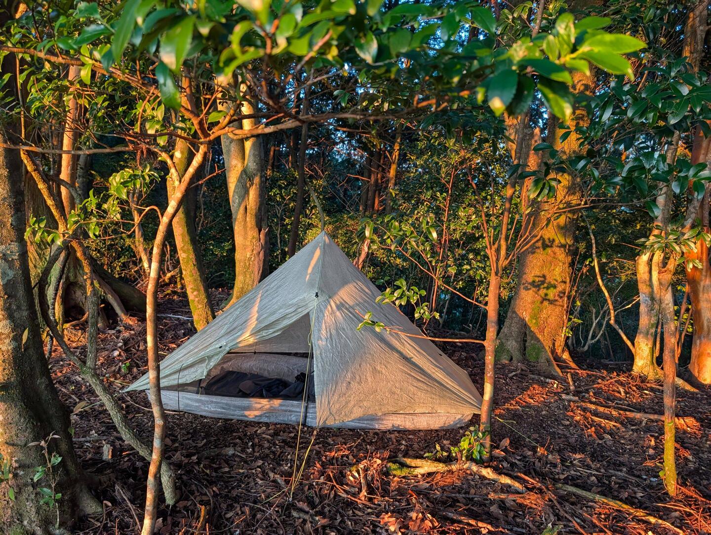 Ein schönes Plätzchen
