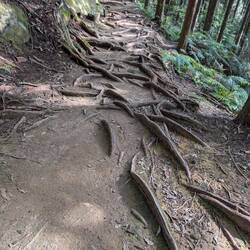 So sahen die Wege aus