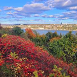 Blick auf St. Lorenz- Strom