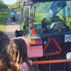 Apple tree excursion