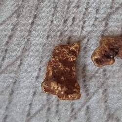 Our gold nuggets