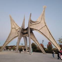 auf Île Sainte Hélène