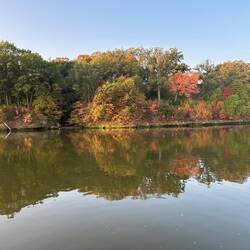 Fall colours on the river