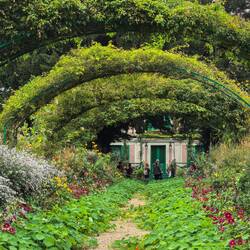 Peep of his house through the garden.