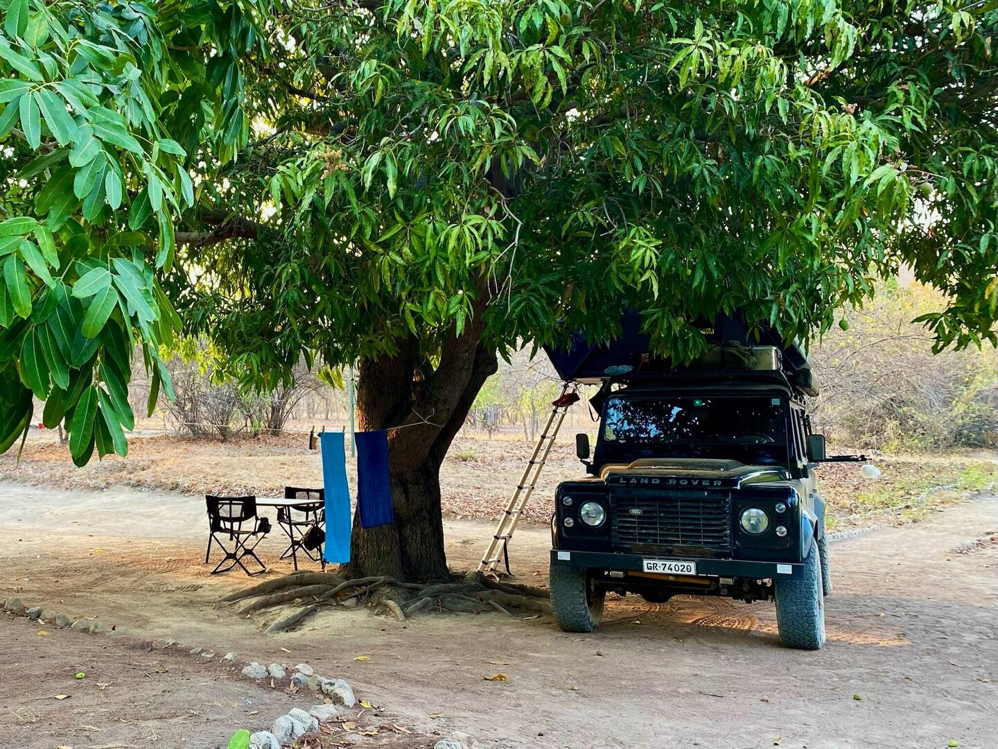 Lauschiges Plätzchen unter einem riesigen Mango Baum