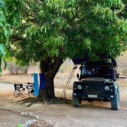Lauschiges Plätzchen unter einem riesigen Mango Baum