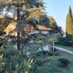 Kirche gehört zur Villa