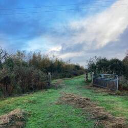 Hek naar Het Houtwiel