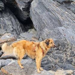 Kleine Grotte