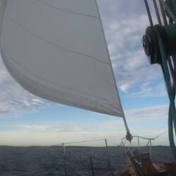 The jib has turned as we head for port