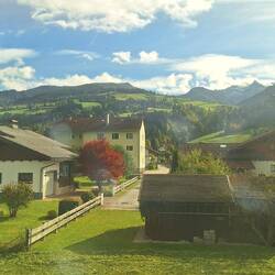 Typical style of house