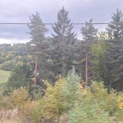 First glimpse of changing colours