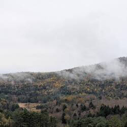 NÉE BELLE {:Nebel: @hillside acres farm, Vermont}