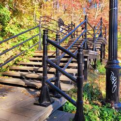 Treppen zum Mt. Royal - dieses Mal nur 274 Stufen