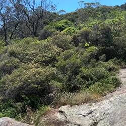 Obelisk Beach, naaktstrand 🤗