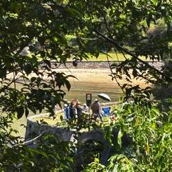 De kunstzinnige pensionados. Als heuse paparazzi