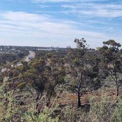 Overlooking town