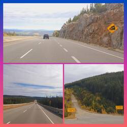 Strecke nach Kelowna