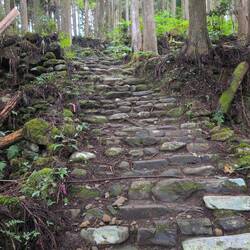 Läuft sich schwer...