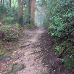 Auf dem Toge Pass. (820m)..