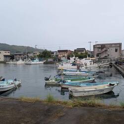 Mugi harbour